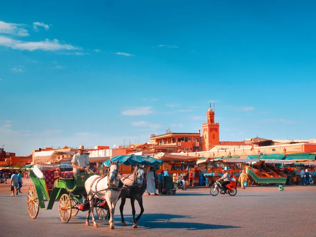 Coche de caballos de Marrakech