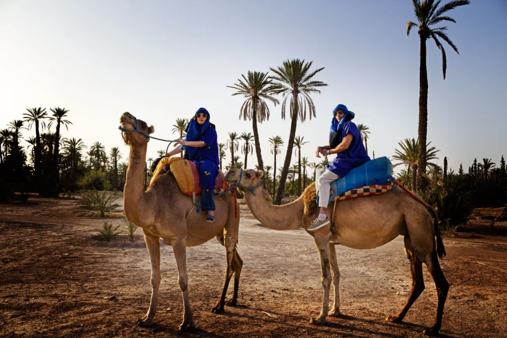 Activity Sunset Tour & Dromedary Ride At Palm Grove Of Marrakech