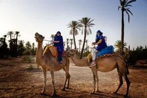 camel ride Marrakech activity