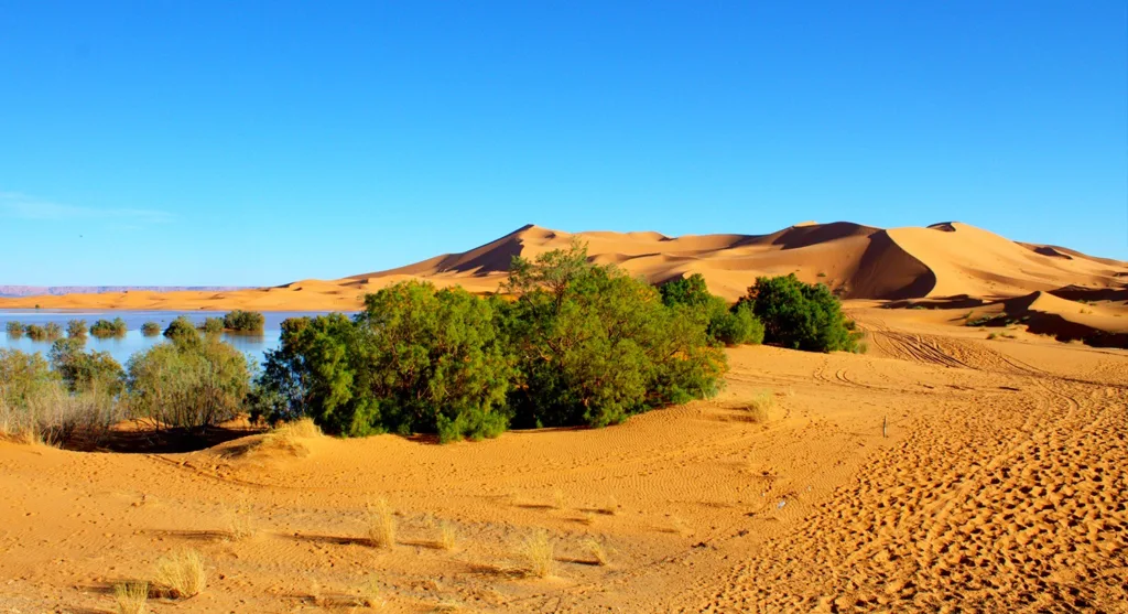 morocco itinerary 7 days