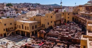 FES tannery