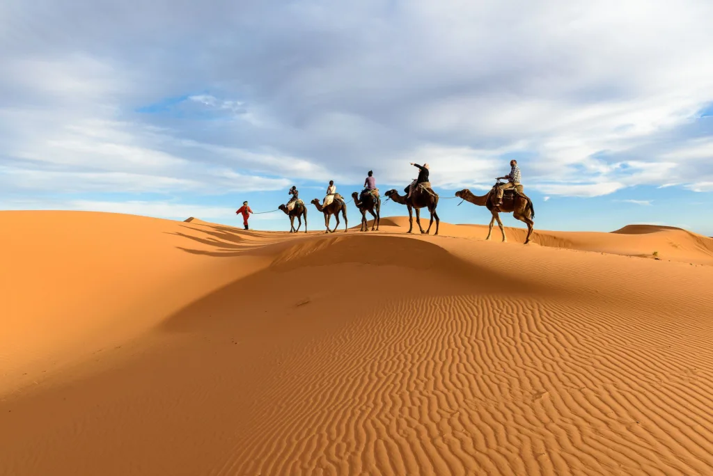 Camel ride merzouga